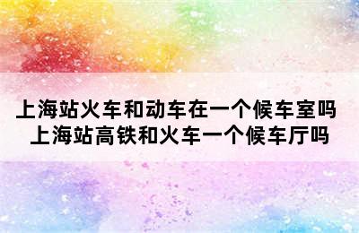 上海站火车和动车在一个候车室吗 上海站高铁和火车一个候车厅吗